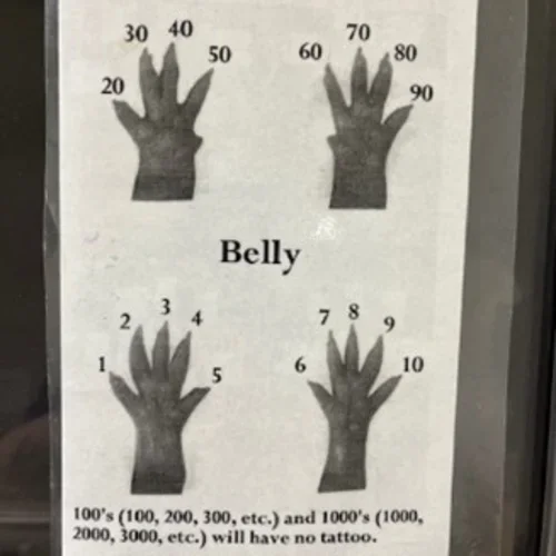  Diagram labeled "Belly" showing four black glove-like hand images with numbered or labeled fingers ranging from 1 to 10 and 20 to 30.